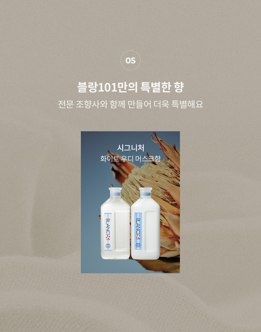 전문 조향사와 만든 블랑101 시그니처 향 화이트 우디 머스크