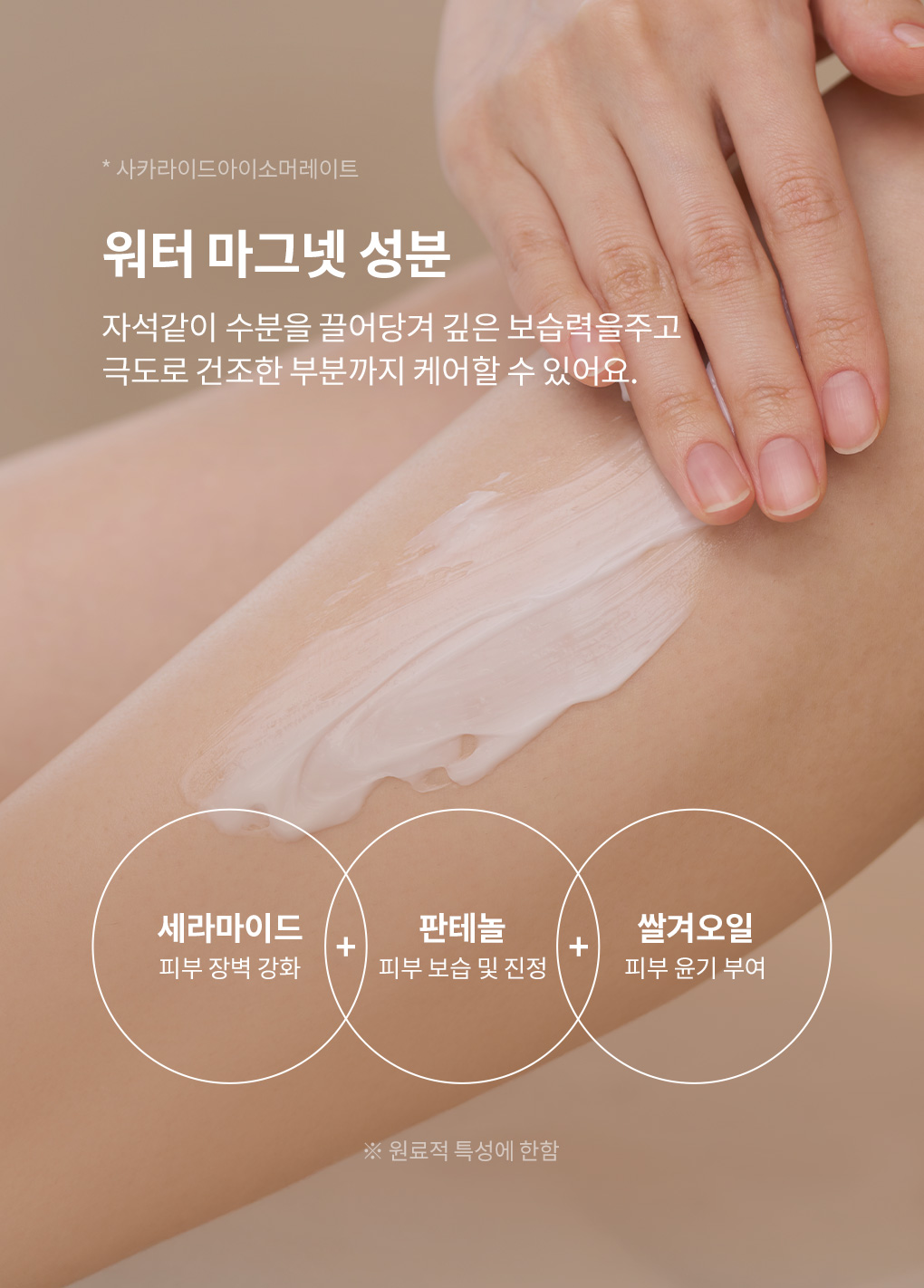 수분을 끌어당기는 워터 마그넷 성분이 함유된 블랑101 바디크림의 깊은 보습력
