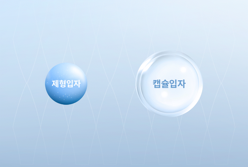 블랑101 바디 시그니처 롱 래스팅 포뮬러 이미지