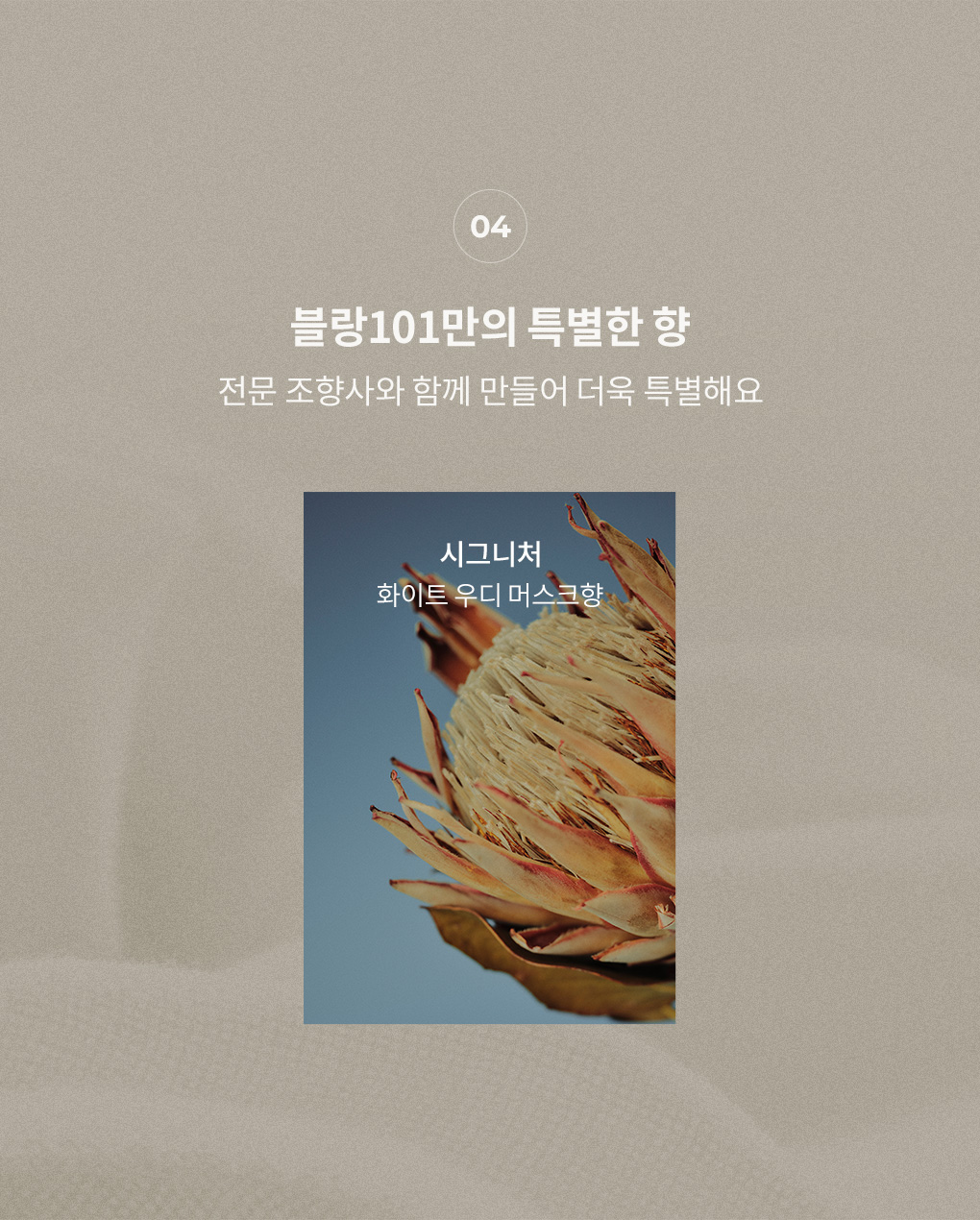 전문 조향사와 만든 블랑101 시그니처 향 화이트 우디 머스크