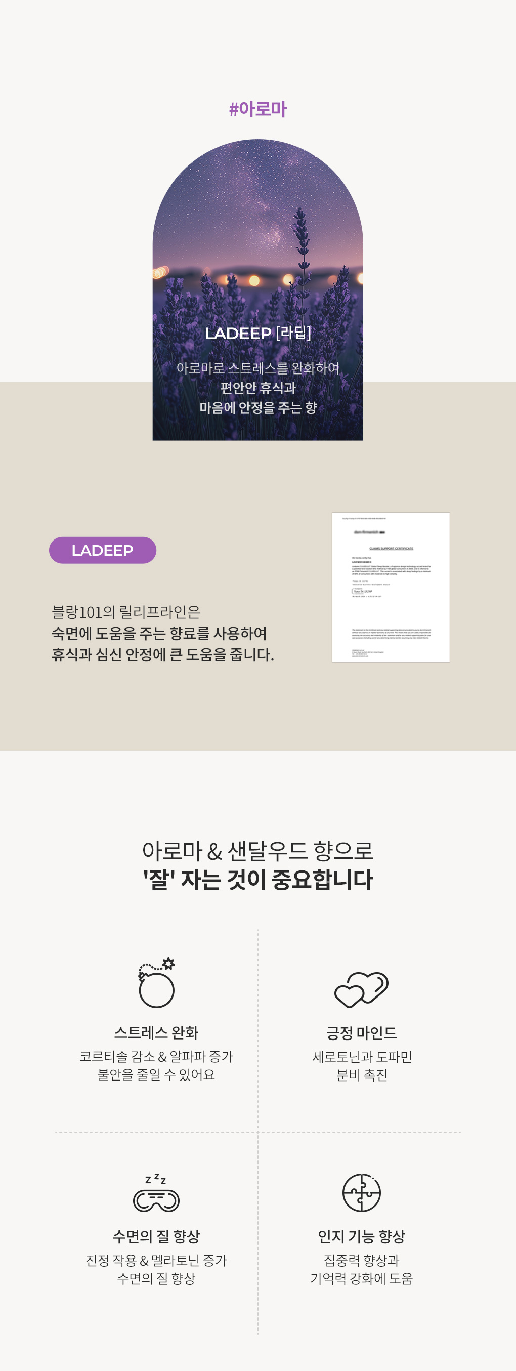 [55%OFF]1L 세탁세제 라딥 2개