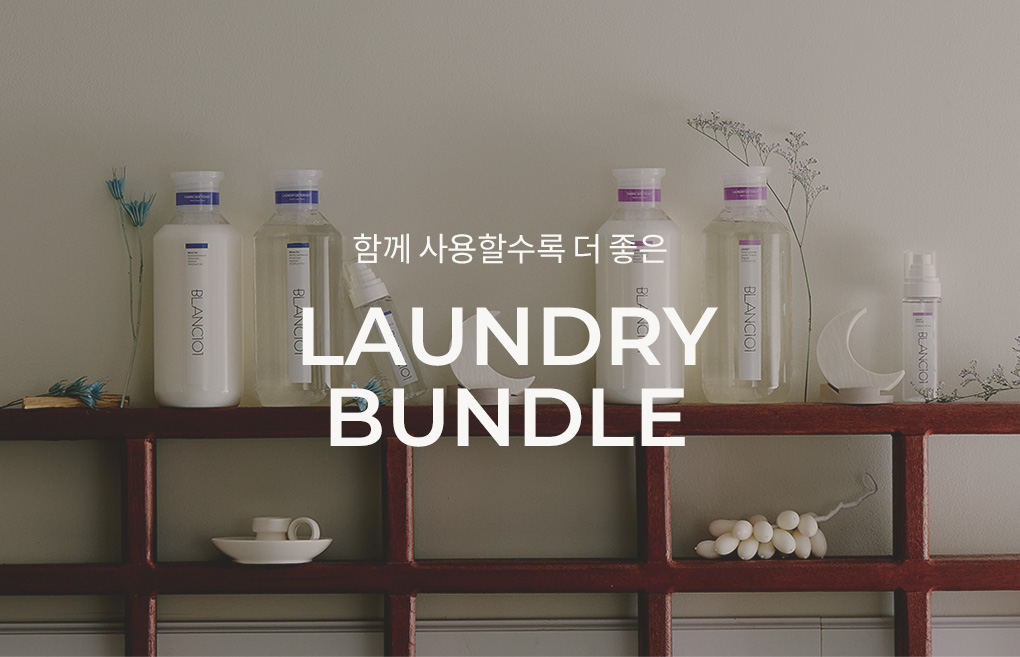 [55%OFF]1L 세탁세제 라딥 2개