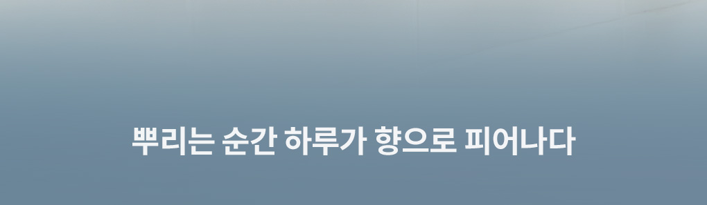 [핸들박스1개증정]100ml 헤어바디미스트+50ml 핸드크림(향 선택) 세트