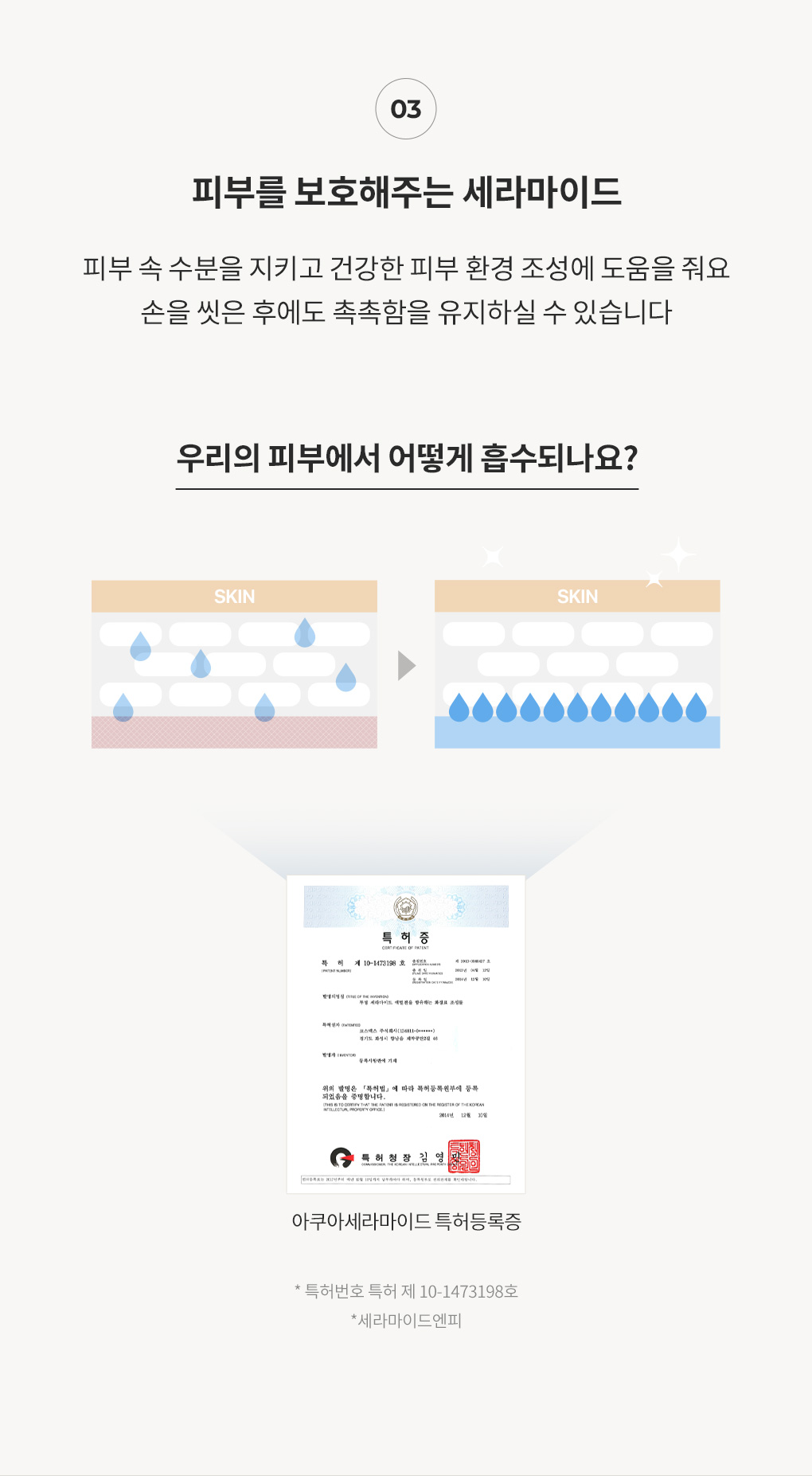 피부를 보호해주는 세라마이드 함유와 흡수에 대한 설명