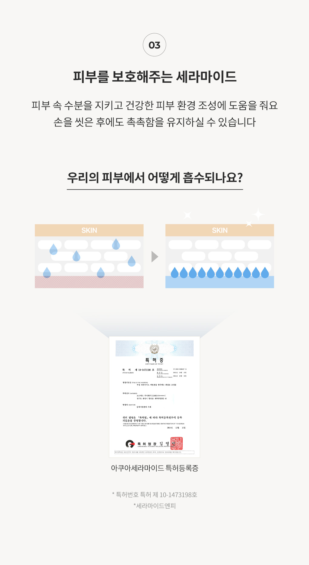 피부를 보호해주는 세라마이드 함유와 흡수에 대한 설명