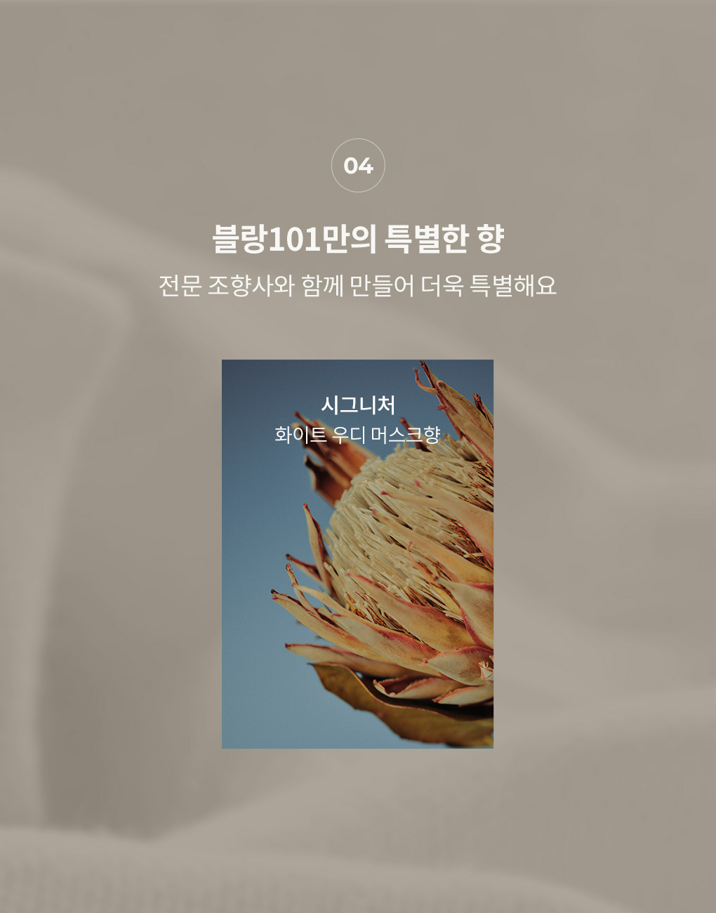 전문 조향사와 만든 블랑101 시그니처 향 화이트 우디 머스크