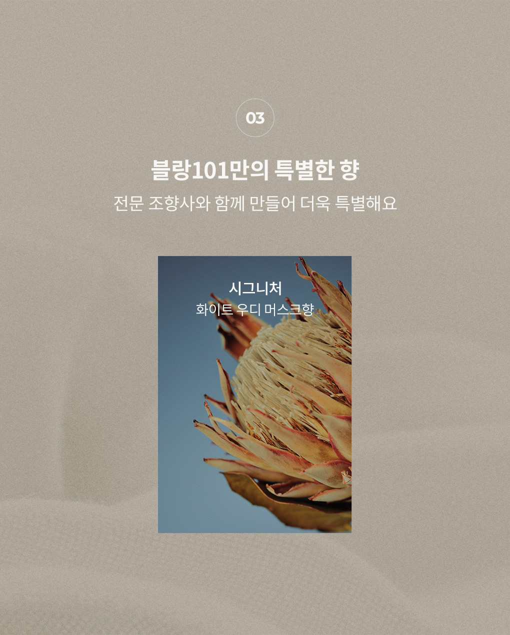 1L 리필 세제 시그니처 4개 세트 1Box+1L 세제 시그니처 1개