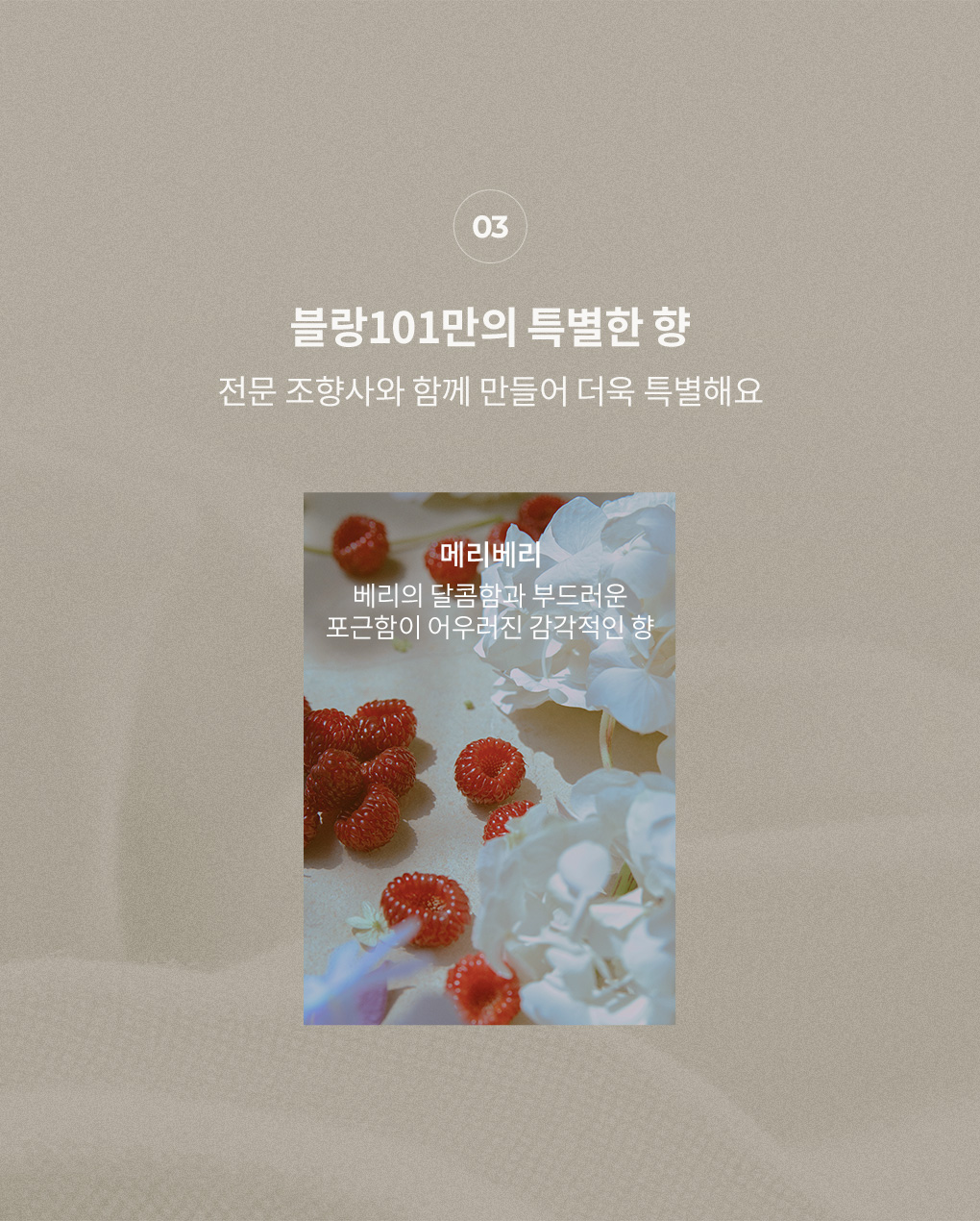 전문 조향사와 만든 블랑101 메리베리 향 베리의 달콤함과 포근함