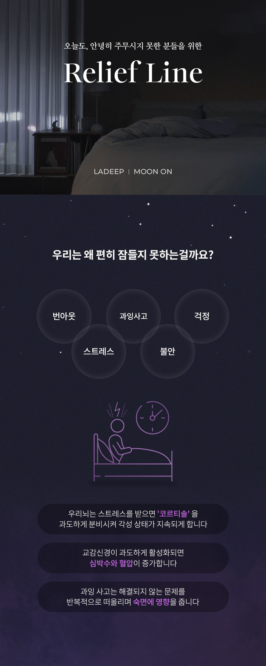 [55%OFF]1L 세탁세제 라딥 2개