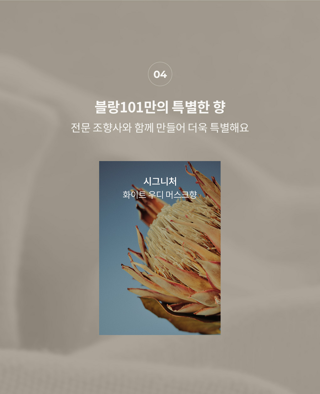 블랑101 시그니처 향 화이트 우디 머스크