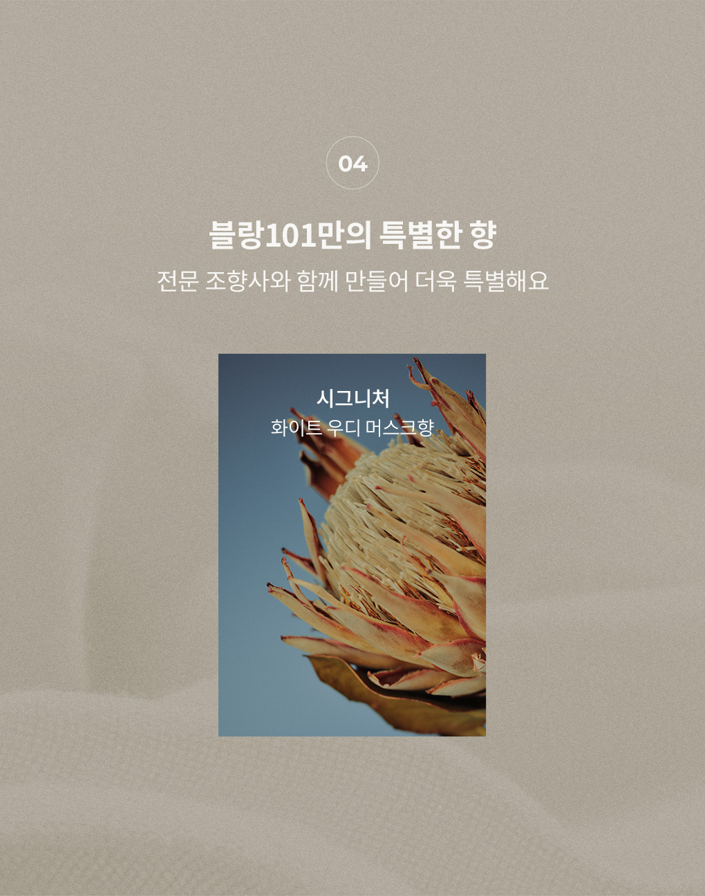[베스트셀러]시그니처 선물세트 2종(시그니처 세제유연제)