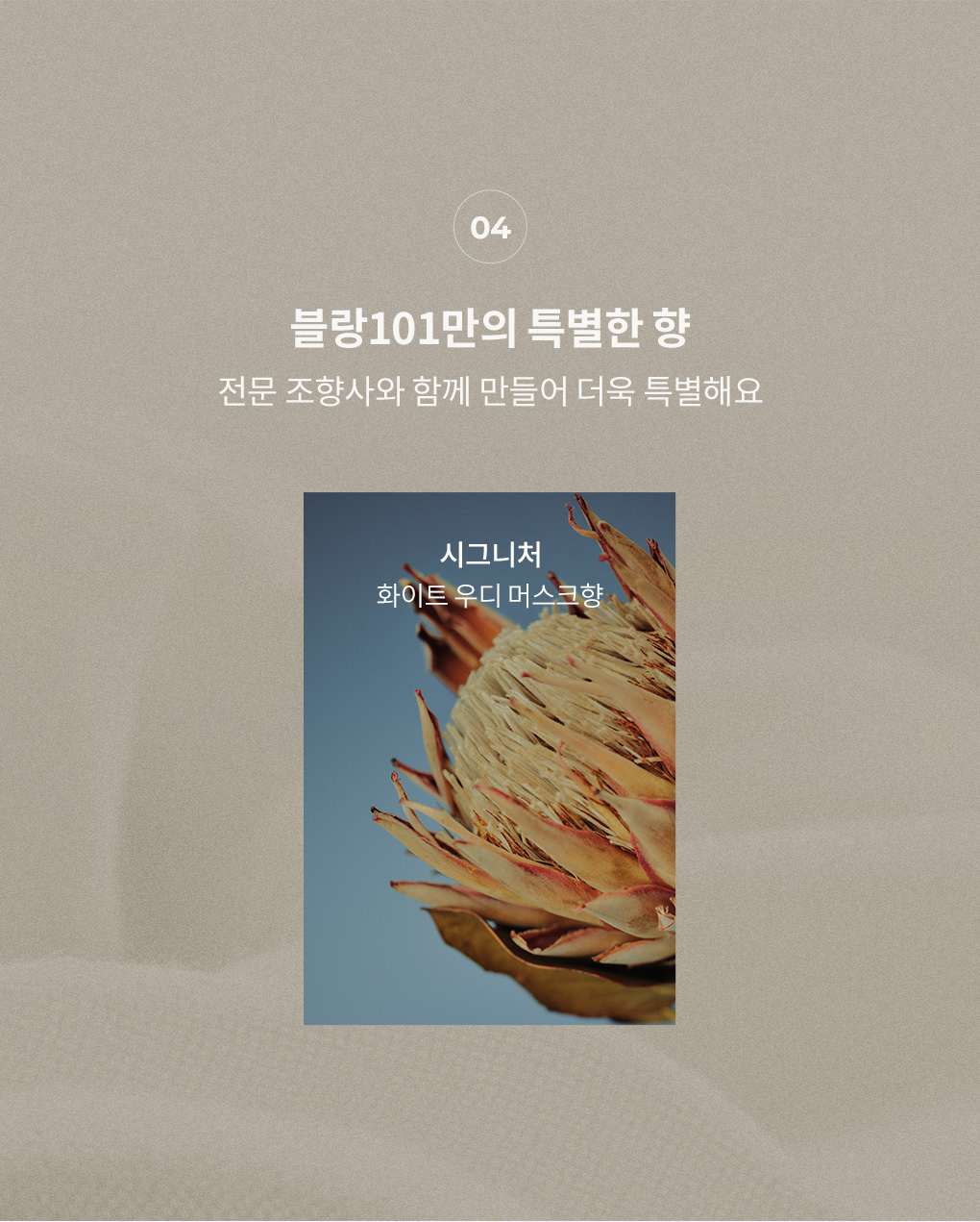 전문 조향사와 만든 블랑101 시그니처 향 화이트 우디 머스크