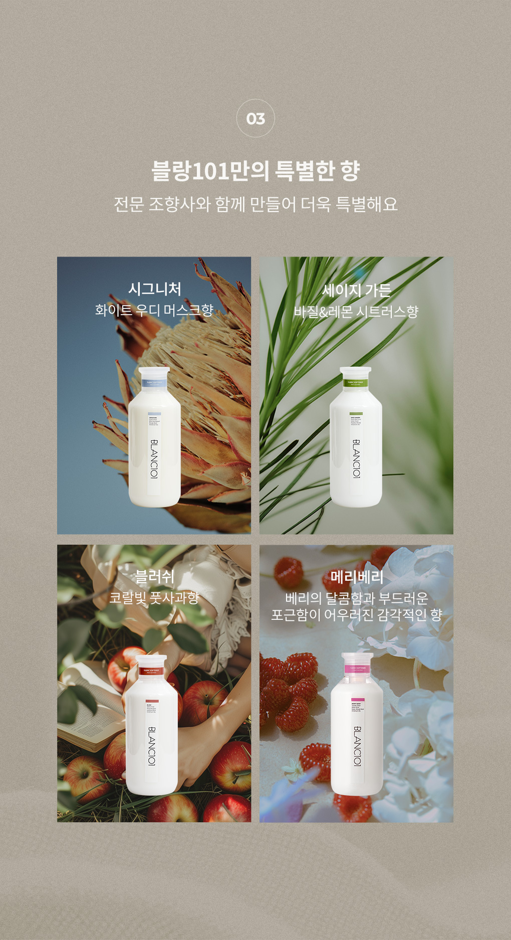 블랑101 클래식라인의 시그니처 세이지가든 블러쉬 메리베리 총4개의 향기 소개