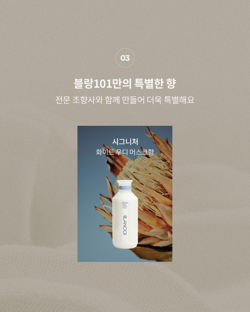 전문 조향사와 만든 블랑101 시그니처 향 화이트 우디 머스크