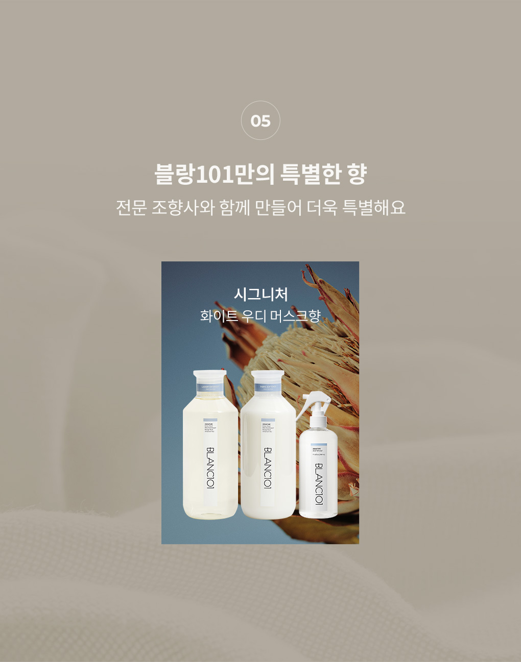 블랑101 시그니처 향 화이트 우디 머스크